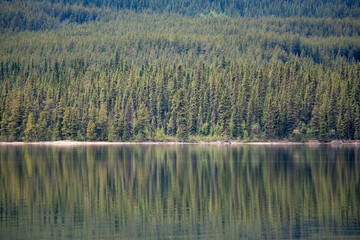 Wilderness woods, forest with lake reflection in the summertime. Taken in northern Canada. 