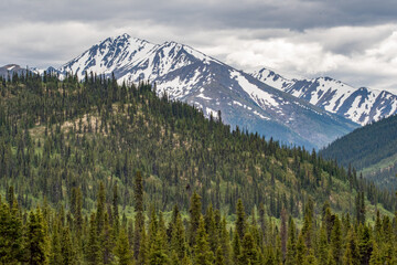 Iconic Canadian view of snow capped mountains and forest woods in the foreground. Taken in the...