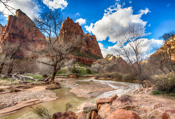 Sandstone formation along the Virgin river and beautiful red rocks in the Zion National Park, Utah