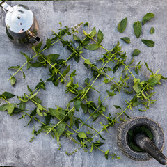 Tea Mint