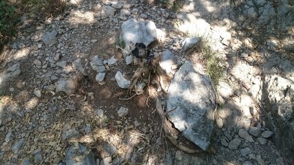 rocks in the mountain 