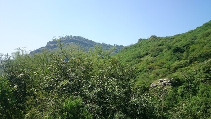 Fototapeta na wymiar mountain landscape with trees