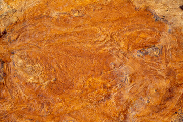 Abstract view of a rusty looking creek bed with iron runoff in the Canadian wilderness. 