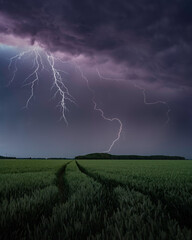 Green agriculture field with storm clouds during lightning storm