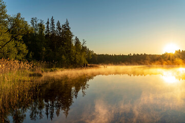 Fototapeta na wymiar Cold summer morning in the forest with lake, forest reflection and mist on the water surface during colourful sunrise.