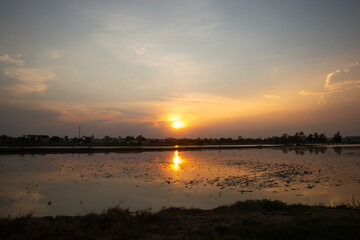 Naklejka premium landscape with early sunrise by the lake, heaven sky, black tree silhouettes. Beautiful shadows and swamp river.