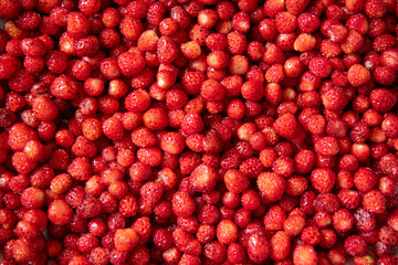 An array of stunning & vibrant wild strawberries. Great for wall art, prints, office, kitchen art. 