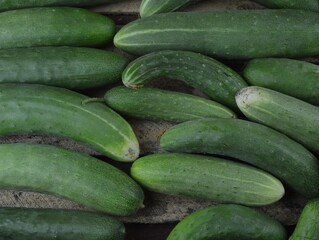 
many fresh homemade cucumbers lie on a wooden table