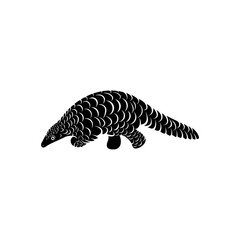 Anteater Logo Design Vector. Silhouette of Anteater. Vector illustration