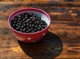 
plate with fresh black currants stands on brown wooden background