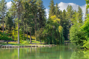 Willow trees along the  Manito Park Mirror duck pond on South Hill in Spokane, Washington, USA