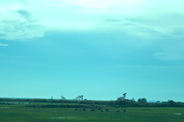 landscape with blue sky and clouds