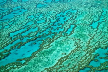Fototapeta na wymiar Great Barrier Reef in QLD Australia