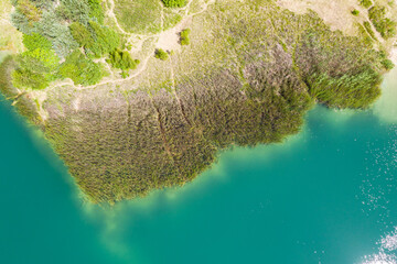 shore of a forest lake covered by reed grass. aerial view from flying drone - Powered by Adobe