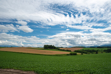 北海道　美瑛の丘