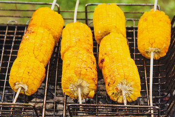 Grilled corn on the grill, ready to serve, outdoor recreation in summer.