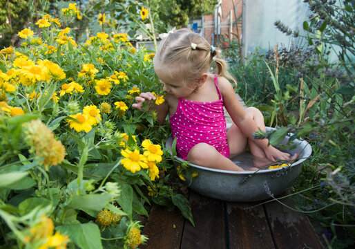  little girl in a garden. Happy little girl of European race bathes a basin of water and sniffs yellow flowers. Summer fun. Background. Copy space. Water games.