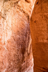 Hike in Zion National Park