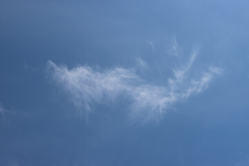 Light, cirrus clouds in the sky.