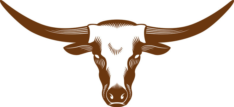 Cow head with long horn vector