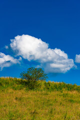 prairie landscape and sky