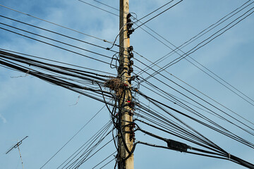 Bird nest on public electric wire 