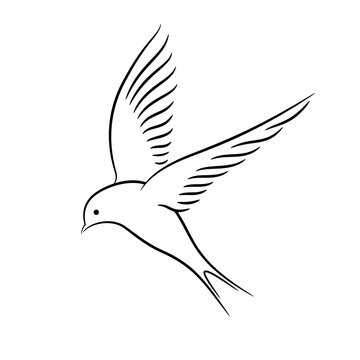recommend clip art: Bird vector illustration. Minimal line art. Logo design.