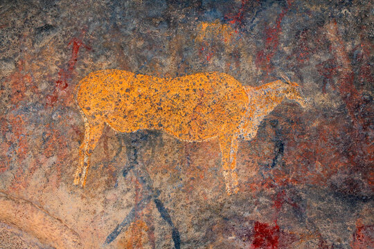 Bushmen (san) rock painting of an eland antelope, South Africa.