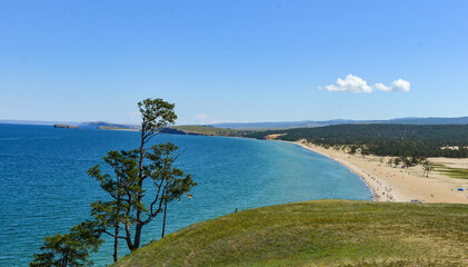 View of the coast of Lake Baikal, Olkhon island in summer in sunny weather with a tree in the foreground