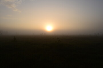 Brightly lit sunny ball in a foggy morning over forest swamp