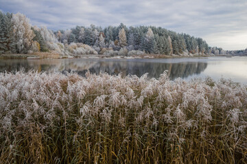 October morning frost on the Mill Pond. Bugrovo Village, Pushkinskie Gory. Russia