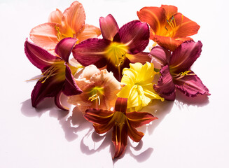Composition of multi-colored lilies in the form of a heart