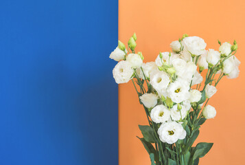 Beautiful white flowers bouquet on orange and blue