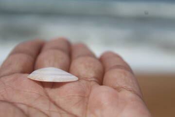 hand holding a stone