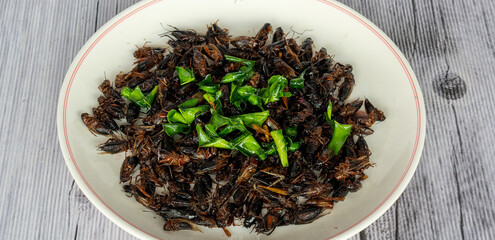 Thai Fried Bugs, Flies, Insects