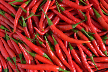 Fresh chilli for cooking,Top view,Background.