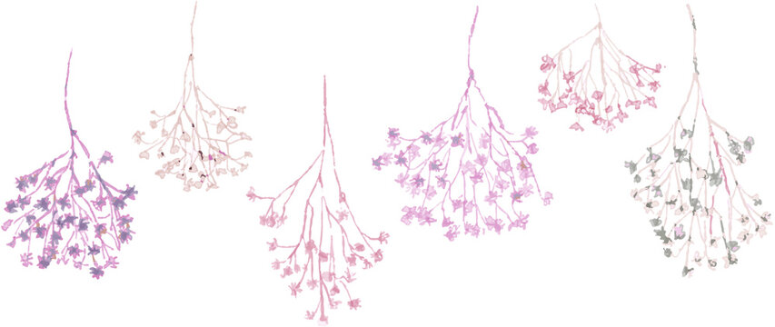 かすみ草の手書き水彩素材 Stock Vector Adobe Stock