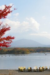 Landscape of Mount Fuji in Japan with colorful Autumn maple trees at Lane Kawaguchi