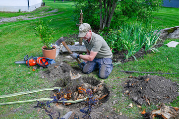 man working har in garden with roots and stump