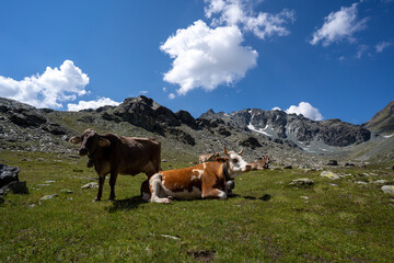 Wandern in der Lombardei Italien Sommer