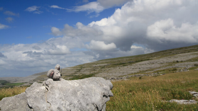 Irland: Stoffmaus sitzt auf einem Felsen vor der Kalksteinlandschaft des Burren