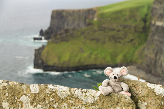 Irland, Cliffs of Moher: Stoffmaus sitzt am Rand der Klippen
