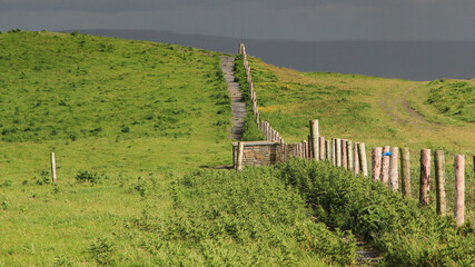 Irland, Cliffs of Moher: Pfosten eines Weidezauns führen unter tiefhängenden Gewitterwolken in...