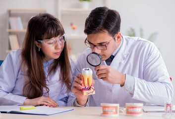 Dentist explaining student tooth structure