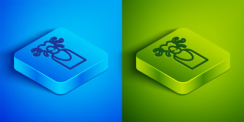 Isometric line Medusa Gorgon head with snakes greek icon isolated on blue and green background. Square button. Vector.