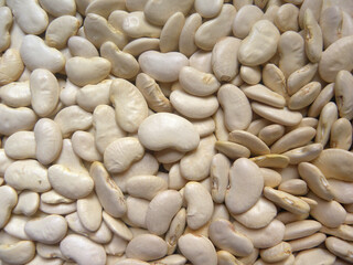 White color raw whole dried Lima beans
