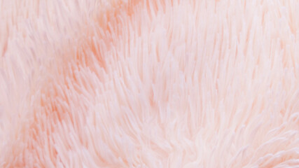 delicate soft background of plush fabric folds on white background. Copy space. Flat lay. loose folds on the fabric of faux fur of lilac color. Details of warm winter clothes