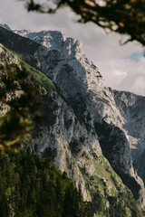 mountains landscape scenery view. Beautiful landscape panorama with pine trees. Montenegro, Durmitor. 