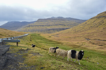 Amazing view in Faroe Islands (Denmark, Europe). Beautiful Panoramic Scene Of Nordic Islands