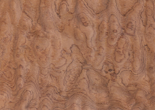 Bubinga Pommele veneer, exotic natural wood from Africa.
